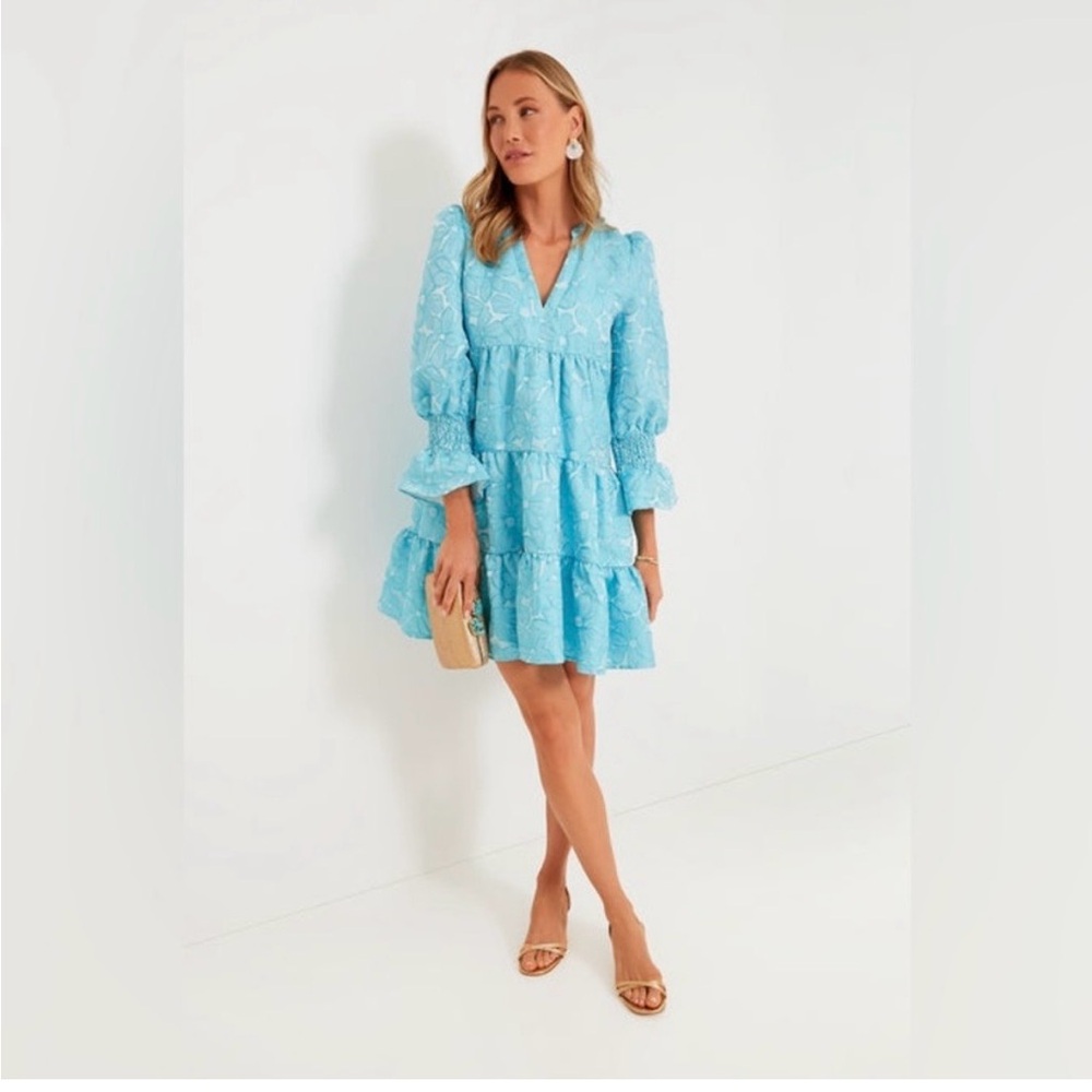 NWT Tuckernuck Pomander Place Blue Daisy Jacquard Kenzo Dress- Small - Picture 3 of 9